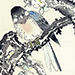 Multiple Artists Gallery